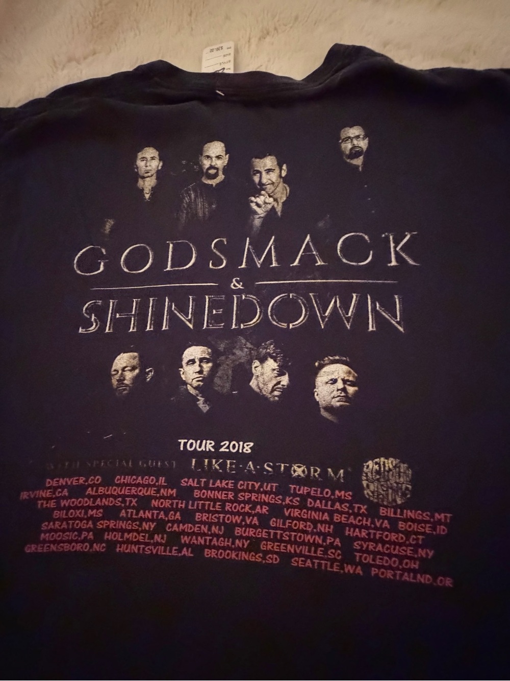 Godsmack & Shinedown Tour 2018 Black Graphic Tee